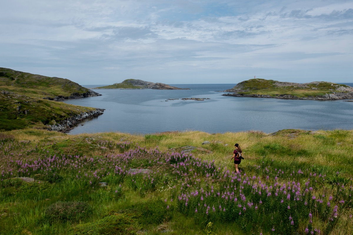 Springtime on Fogo Island.