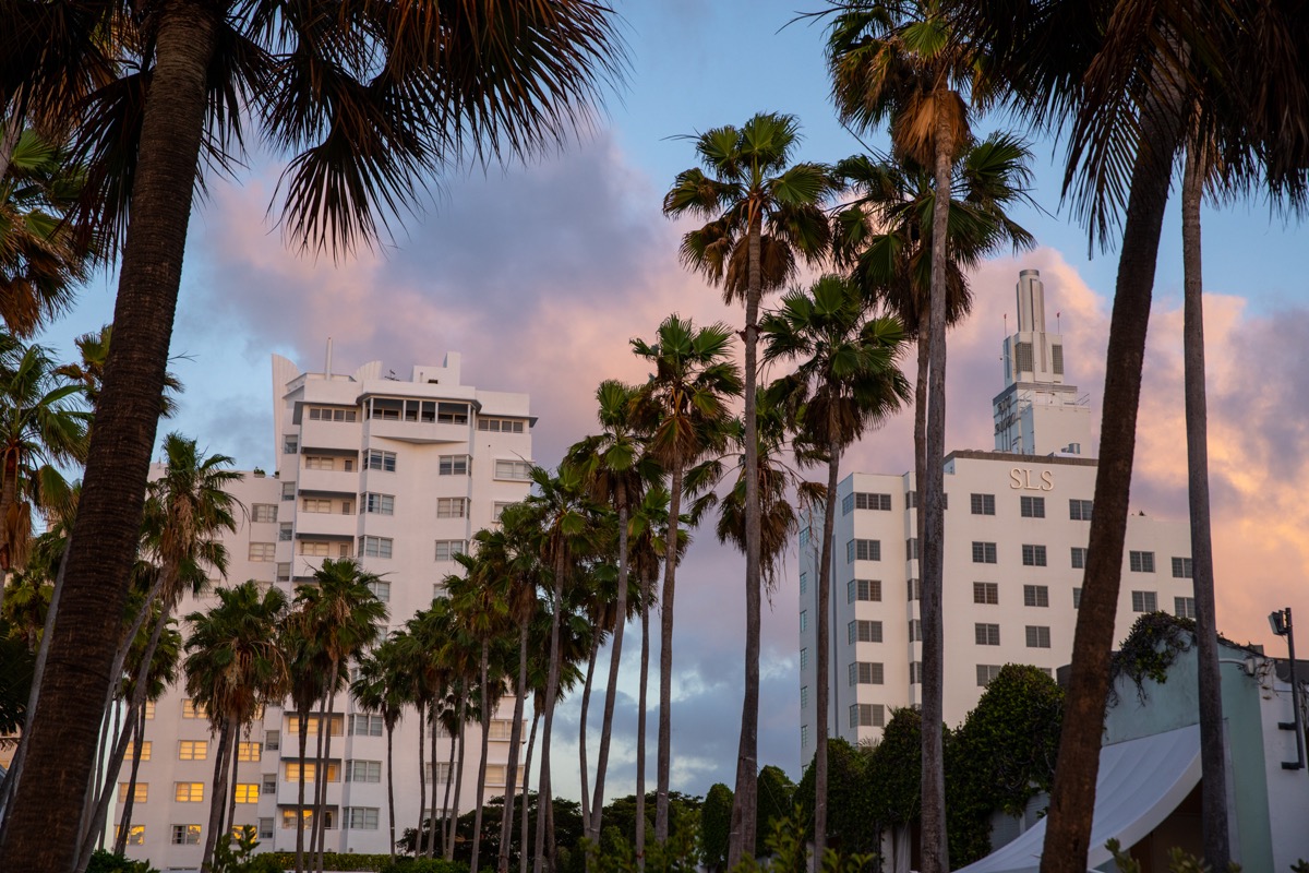 Classic Miami art deco architecture with palm trees in the foreground