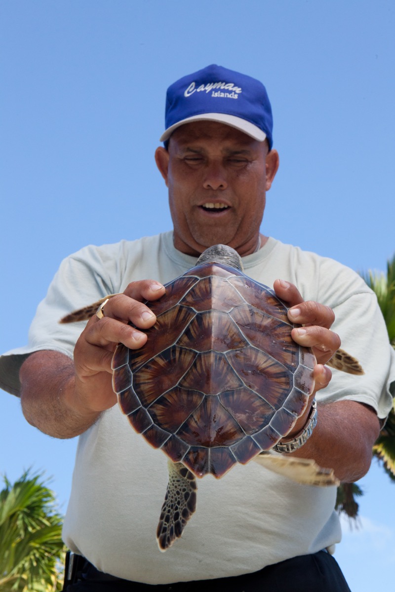 Benny, a tour guide at the Cayman Turtle Farm, Grand Cayman, Cayman Islands.